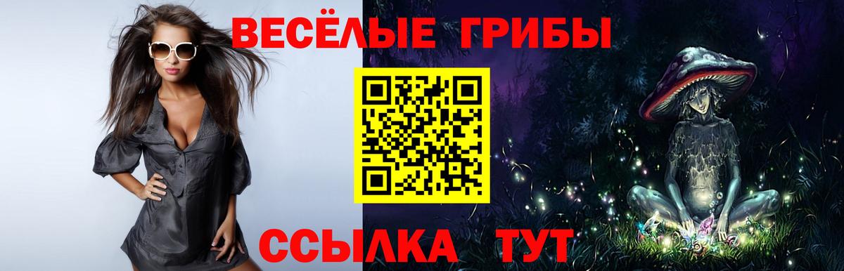 Галлюциногенные грибы Psilocybe  Псилоцибиновые грибы MAGIC MUSHROOMS  Вход с VPN  Борзя 